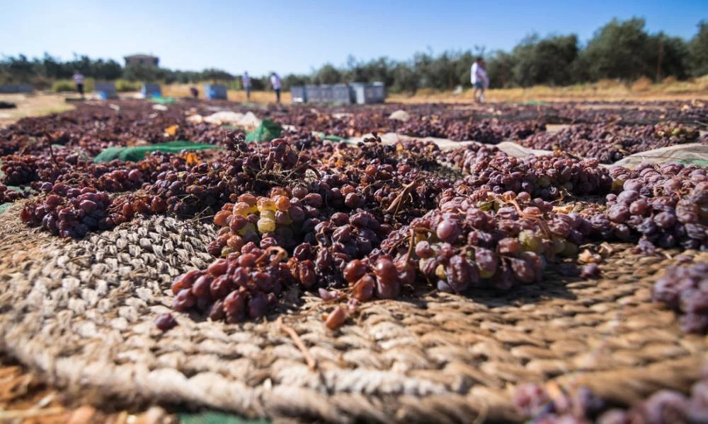 Διμερές σχέσεις: Τι εξάγουμε και τι εισάγουμε στη Γαλλία